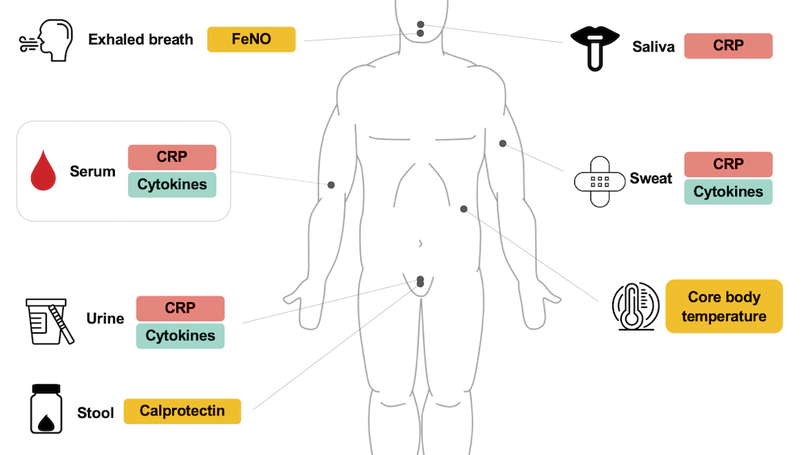 Noninvasive, Multimodal Inflammatory Biomarker Discovery for Systemic Inflammation (NOVA Study): Protocol for a Cross-Sectional Study